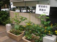 090612shuttyouzyo.JPG