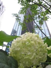nishi0622.JPG