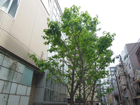 DSCN4880.JPG