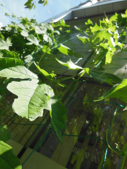 DSCN5837.JPG