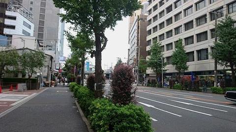 DSC_0647.JPG