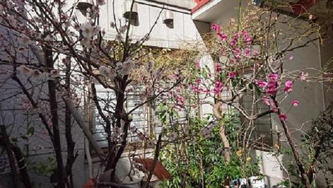 DSC_1235cftui.jpg
