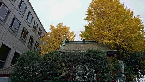 DSC_1833hjkl.jpg