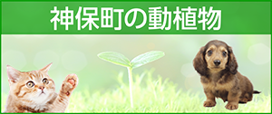 こちら神保町 スマホ 09